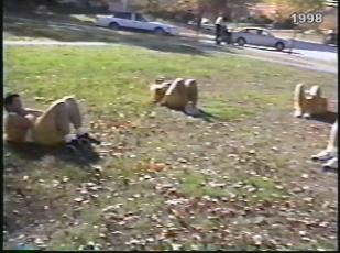 1998 Football Season