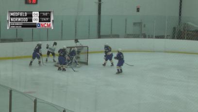 Girls Hockey vs Medfield 2/16/19