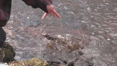 Mustang Magazine #63