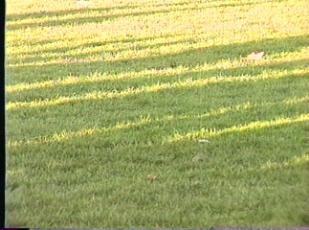 1996 NHS Field Hockey vs. North Attleboro