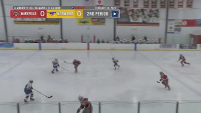 2020 Girls Hockey v. Wakefield Tournament