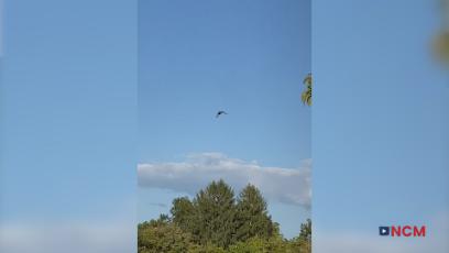 Digest: Endean Trail Edition with Joe Greeley 9.24.20