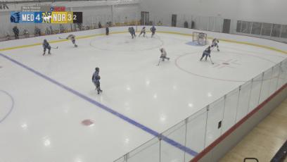 NHS Boys Varsity Hockey vs. Medfield: 1.13.21