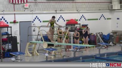 Swim and Dive vs. Norwell 1.13.22