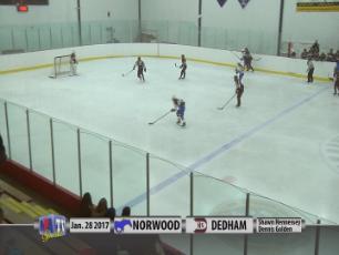 2016-17 Girls Hockey Vs Dedham