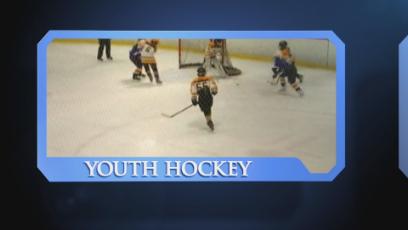 2017 Little League Opening Day Parade & Ceremonies